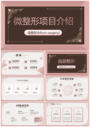 美容整形医院微整形项目培训招商会总结汇报