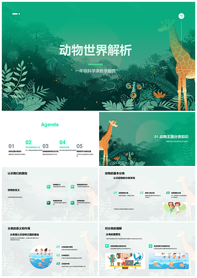 动物世界分类特征习性全解析