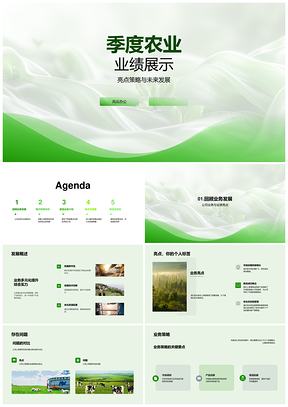 农业季度业绩亮点策略突破财务展望