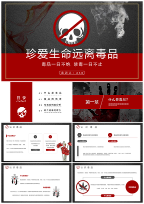 国际禁毒日珍爱生命禁毒公益抗毒宣传