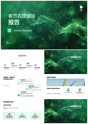春节新农技增效试点种植效率报告
