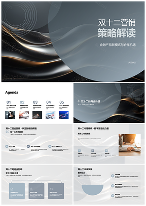 双十二金融产品营销策略合作机遇市场规模分析PPT模板
