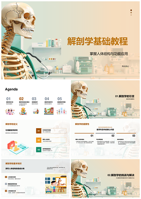 医学解剖人体结构功能教学课件