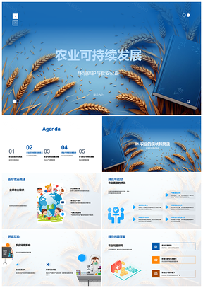 农业可持续发展挑战与环保食安公正策略PPT模板