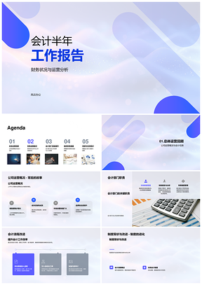 会计部半年工作报告财务效率人力风险管理软件流程优化PPT模板