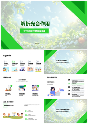 初中生物光合作用光暗反应与生态解析PPT模板