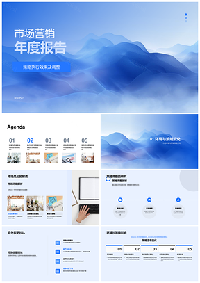 市场营销策略执行效果竞争环境调整年报PPT模板