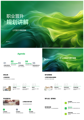 职业晋升策略架构政策方向标准流程行动计划讲解PPT模板