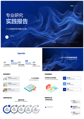 专业研究实践项目挑战策略成果能力提升PPT模板