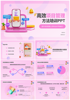 项目管理人才技术沟通专业培训促发展PPT模板