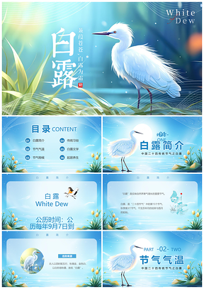 白露白鸟梦幻节气PPT模板