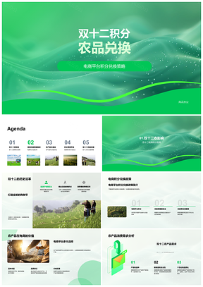 双十二积分兑换农产品电商营销策划PPT模板