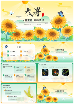 2025大暑节气夏季气象物候习俗防暑锻炼PPT模板