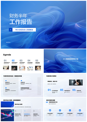 财务半年工作审计合规负责人年度目标会计政策操作流程比率问题挑战PPT模板