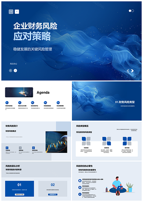 2025企业财务风险全流程风控管理策略PPT模板