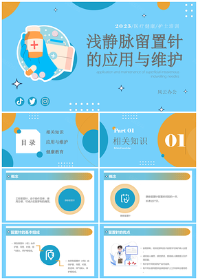 2025静脉留置针护理应用维护蓝色简约品管圈课件