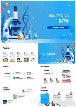2025基因DNA突变自然选择与生物进化PPT模板