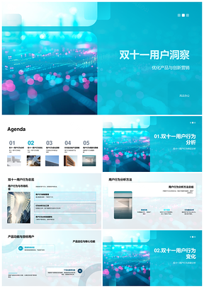 2025双十一用户行为洞察与产品营销优化策略PPT模板