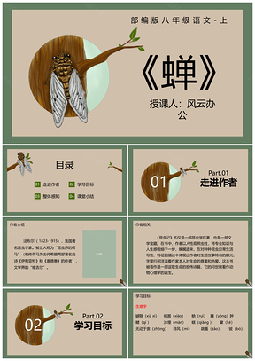 2025八年级下册语文教学说课课件模板
