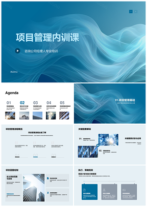 2025项目管理培训PPT模板风险团队沟通时间决策