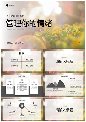 2025企业情绪管理阳光实景氛围讲座PPT模板