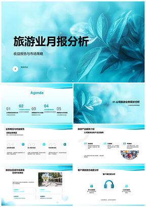 2025旅游业月报产品服务与竞争者分析PPT模板