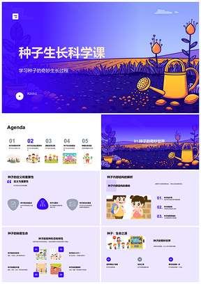 2025种子结构光照温度水分土壤生长科学课件