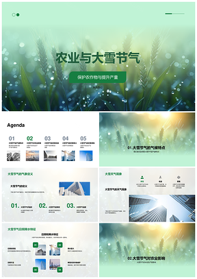 2025大雪节气农业气象与农作物产量保护PPT模板