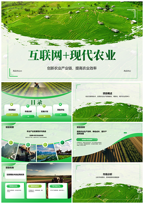 2025互联网农业大数据云计算智能精准增效链PPT模板