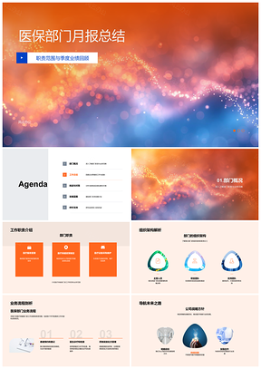 2025医保部门月报职责业绩架构流程战略项目总结PPT模板