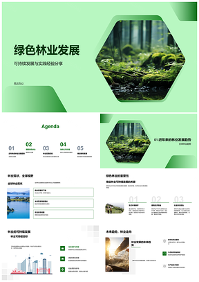 2025绿色林业可持续发展全球实践降本增效PPT模板