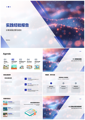 2025实践准备过程挑战解决成长反思资源PPT模板