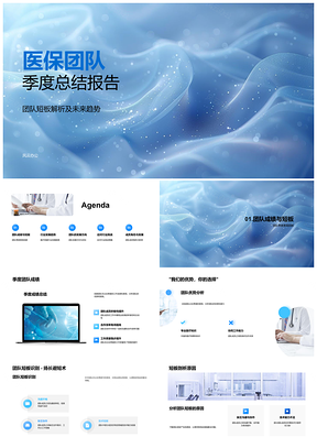 2025医保团队季度总结短板行业趋势发展方向挑战成员发展PPT模板