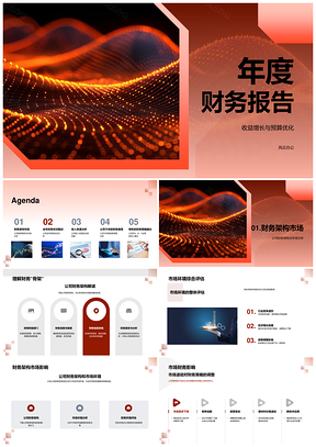 2025年度财务报告收益增长预算优化财务架构PPT模板