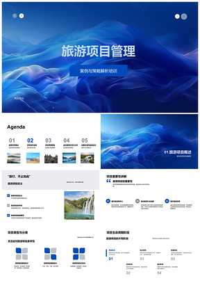 2025旅游项目管理案例策略解析PPT模板