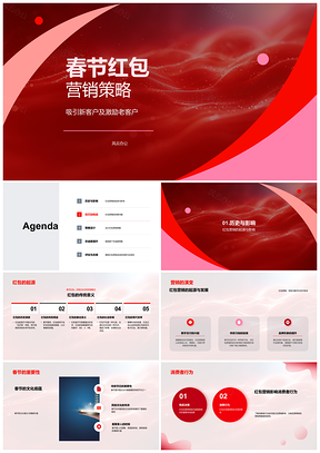 2025银行业务春节红包策略吸引新客激励老客提升忠诚利润PPT模板