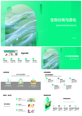 2025生物分类进化与生物多样性保护PPT模板