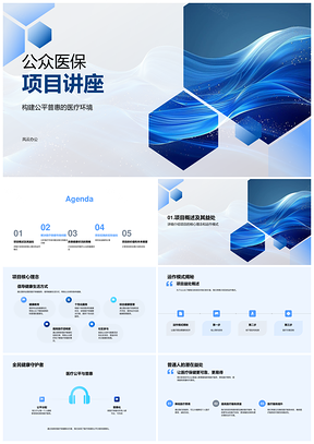 2025公众医保项目医疗质量科研数据公众参与市场反馈PPT模板
