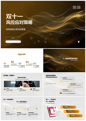 2025双十一金融风控技术及系统抗压策略PPT模板