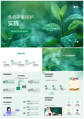 2025生态平衡破坏与生物多样性保护实践PPT模板