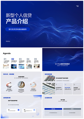 2025新型个人信贷市场趋势用户需求与安全方案PPT模板