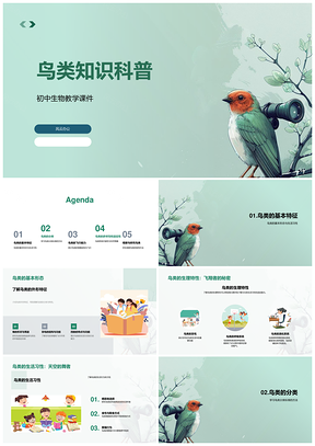 2025初中生物鸟类形态生理习性分类教学课件