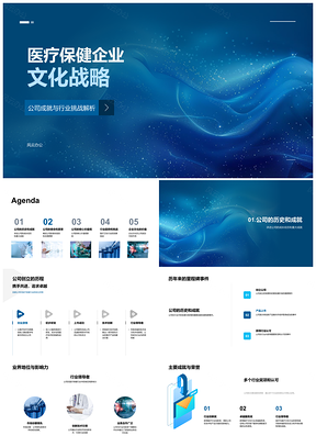 2025医疗保健企业文化战略成就愿景挑战趋势PPT模板