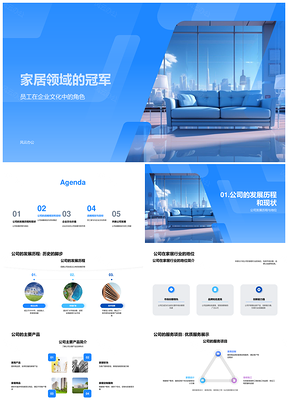 2025家居冠军企业文化战略创新品质发展PPT模板