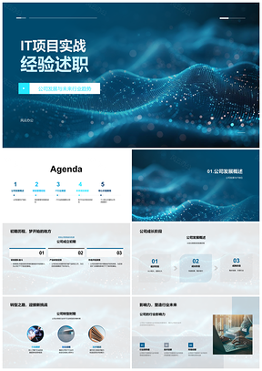 2025IT项目经理实战驱动公司转型技术创新数据应用PPT模板