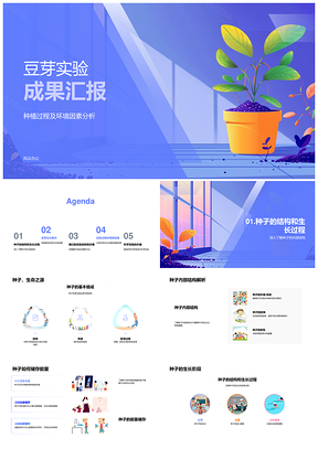 2025豆芽实验种植环境因素种子结构目的成果汇报PPT模板