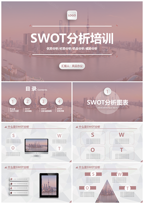 2025商务SWOT分析培训PPT公司医院内部风险模型