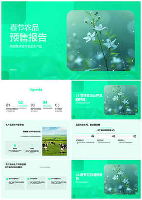 2025春节农品预售供应链品质消费市场分析PPT模板