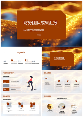 2025财务团队年终投资者汇报策略成本效率优化风险评估PPT模板