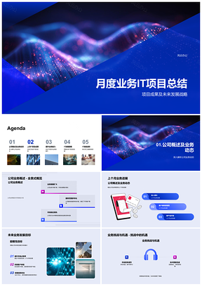 2025业务IT项目成果与未来发展战略PPT模板